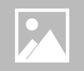 彩经网-【夜读】燕子，没有你还怎么活